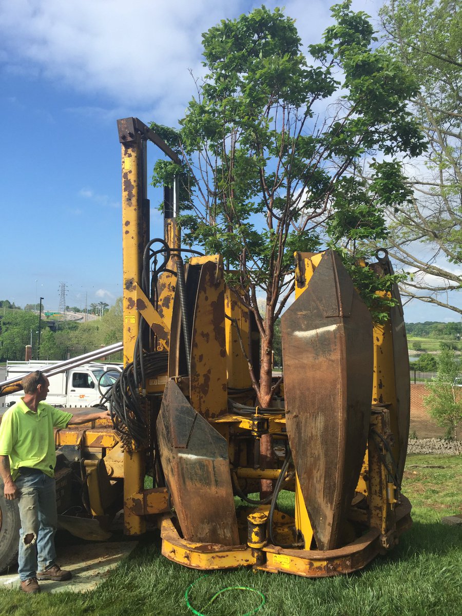 GBOTrees's tweet photo. Made way for the Lake Ave garage Moved this paperbark maple to a new home @CityKnoxvilleTN @utkfacserv https://t.co/FVaK70ANNG