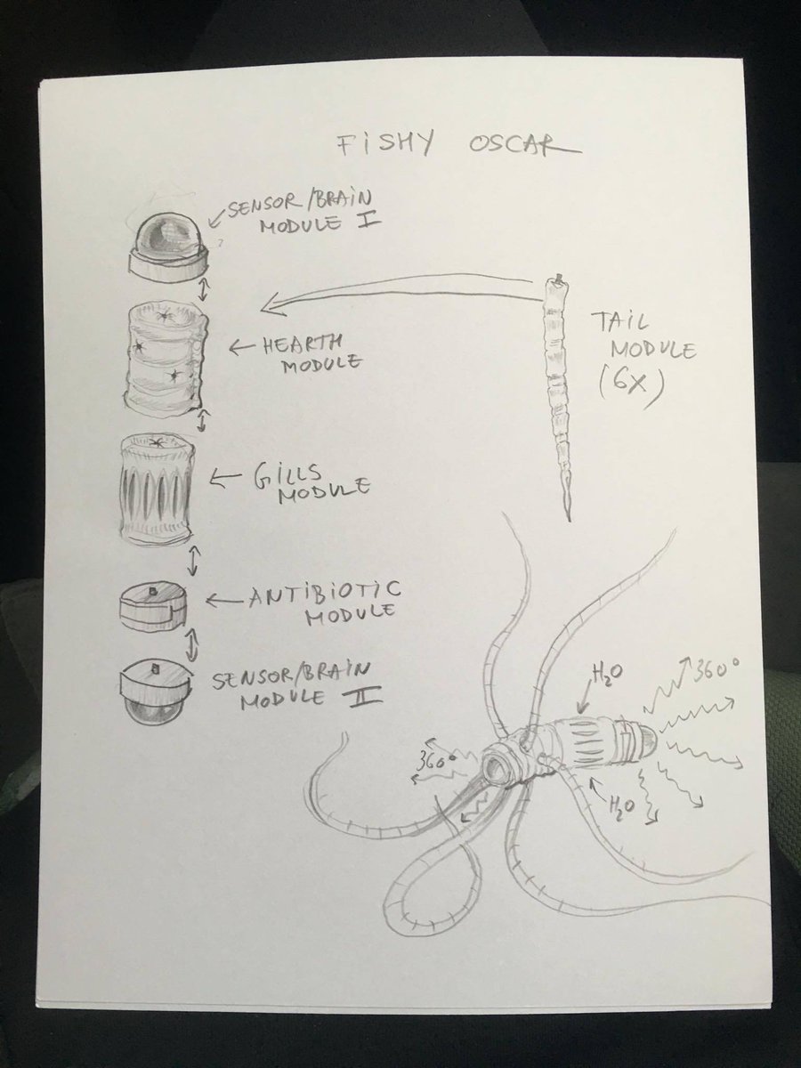 Piko Popo made a fishy Oscar #fanart send your redesign of oscar &amp; win a #3Dprinted skeleton of Oscar #projectoscar