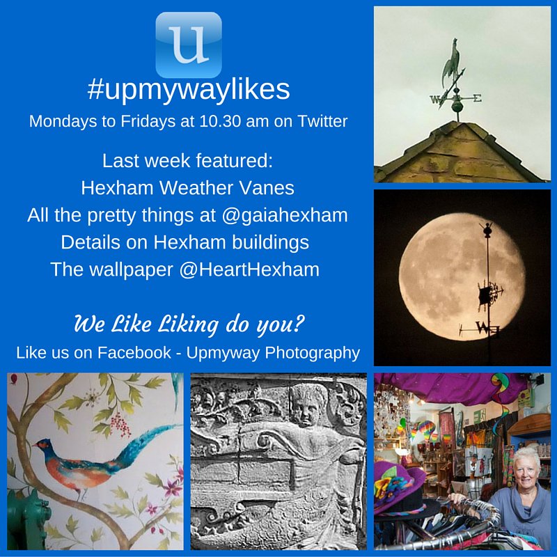 upmyway's tweet photo. #upmywaylikes #WeatherVane @gaiahexham #PrettyThings @HeartHexham #Wallpaper #BuildingDetail #Hexham #Northumberland https://t.co/h46K9DAMer