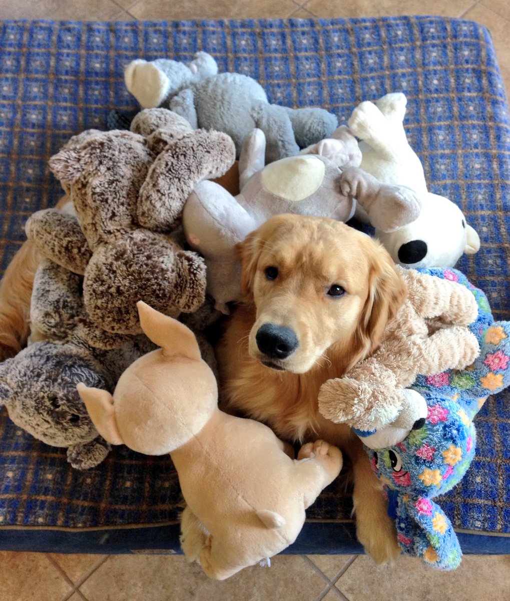 lynn2wine's tweet image. Where's Seamie? 👀🔍🔭🔦
#ThrowbackThursday 😊💕