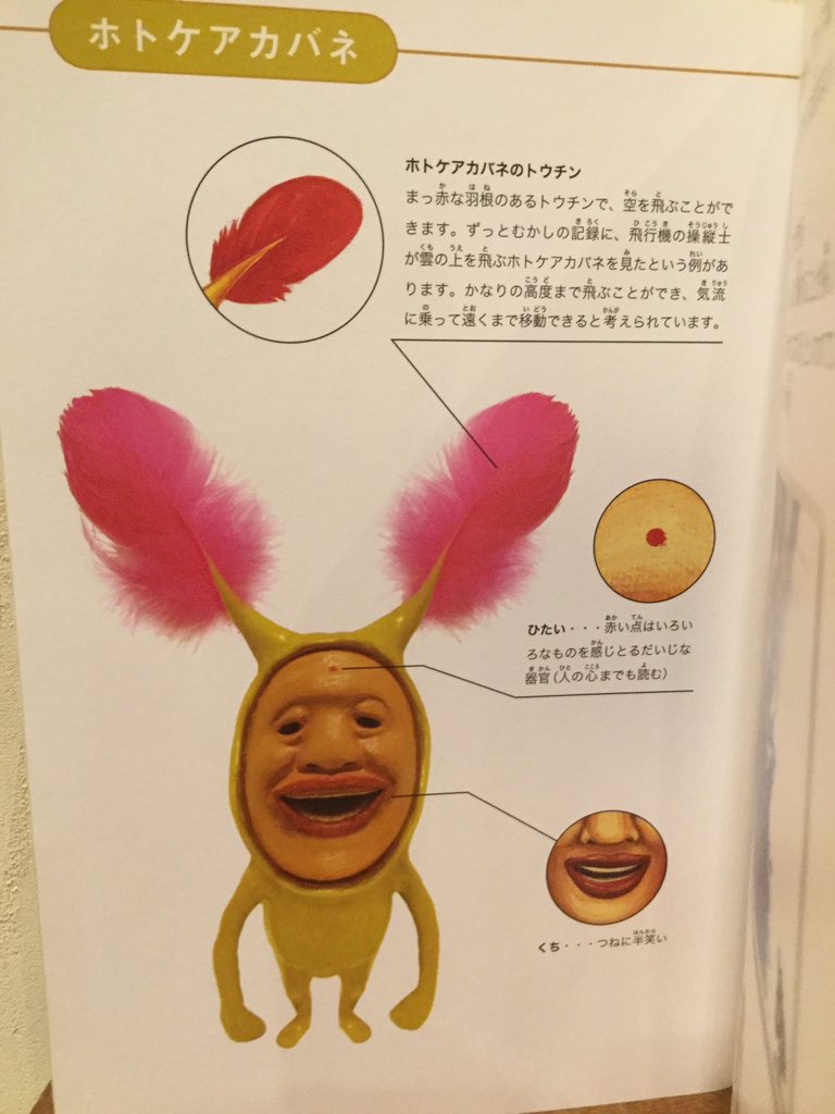 AO(TEMPURA KIDZ) on Twitter "こびとずかん10周年記念イベントありがとうございました！ こびとずかんのアニメ