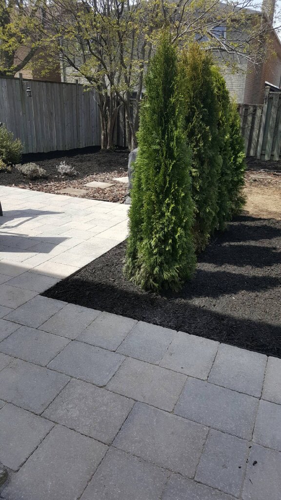 BluemaxLandscap's tweet photo. Backyard patio completed with #stradanova #bestwaystone pavers, walkway and #landscaping, happy customers! https://t.co/0qH7yLQKbT