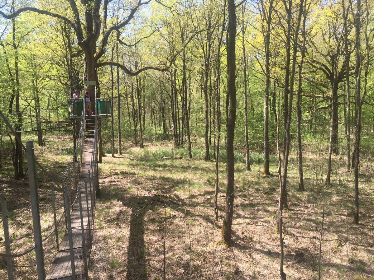 xpress_game's tweet image. #Nature #Déconnecté