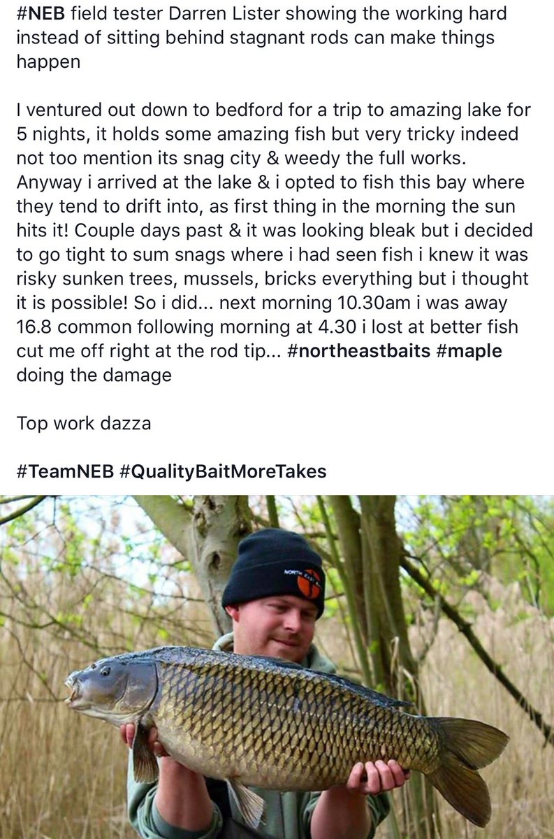 NorthEastBaits's tweet photo. #NEB's Darren Lister with a lovely common on the #MapleDream.
#QualityBaitsMoreTakes #TeamNEB https://t.co/RTQnKWh3AX