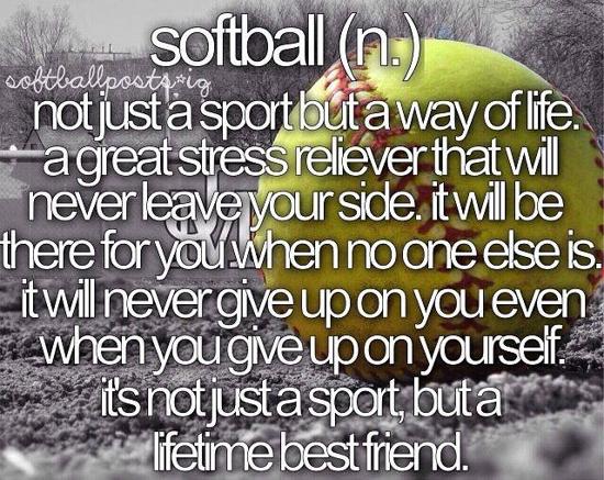 Veteran Softball tweet media