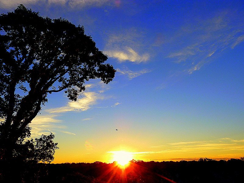 SocialMediaMo's tweet image. Good Morning Twitter :)