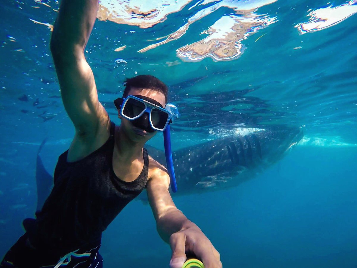 RyanTalisaysay's tweet photo. Ticking off the bucketlist! Canyoneering, Whaleshark diving, Osmeña Peak, Kawasan Falls! #BoyWander 👌🏻🐋🏞🌊 https://t.co/P6rvQnTlkU