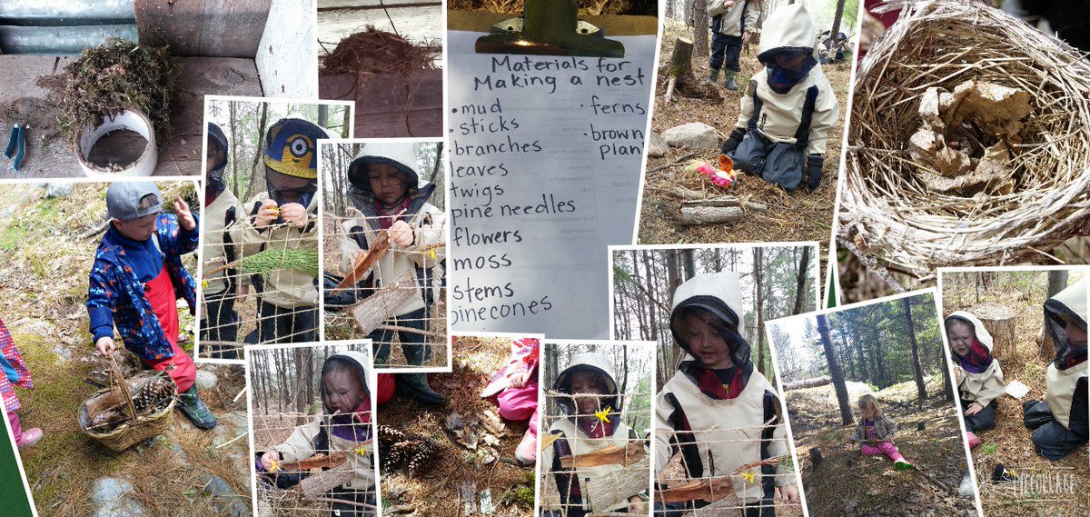 deannab23's tweet photo. Making lists, collecting, sorting, building and weaving #earlyyears #forestadventure #naturepreschool @GreatMooseAdv https://t.co/EGq5T1I97y
