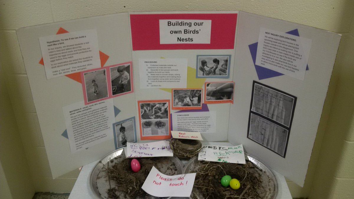 DavisvillePS's tweet photo. Yesterday was the Science Fair. Tonight is Math Night. See you there. https://t.co/qsvI8MhoSh