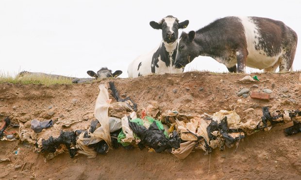 Pollution risk from over 1,000 old UK landfill sites due to coastal erosion
theguardian.com/environment/20…