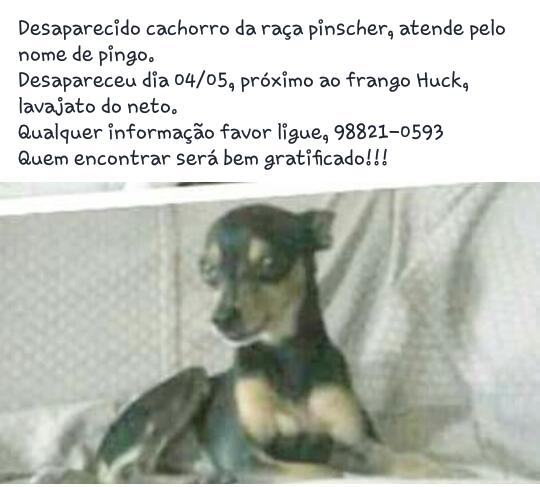 Roberta Correia (@robertinhamel11) on Twitter photo 