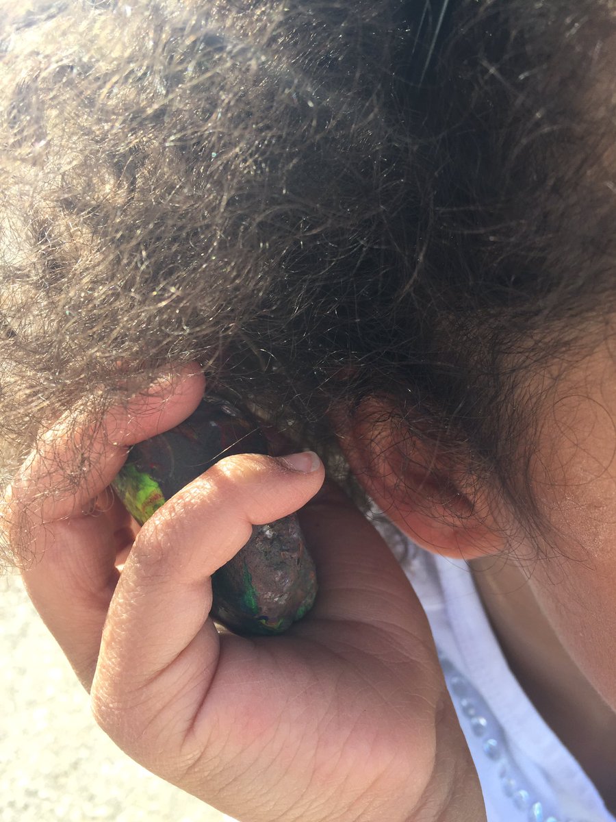 Liisha tweet media