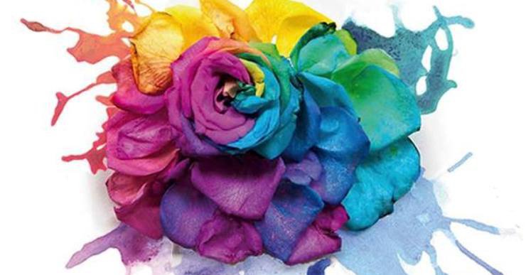 NovaRadioLloret's tweet photo. Diumenge se celebra l'onzena edició de la Festa de les Flors de les Alegries
https://t.co/8cinsTp9Su
#lloret https://t.co/VEWIGwfjjl