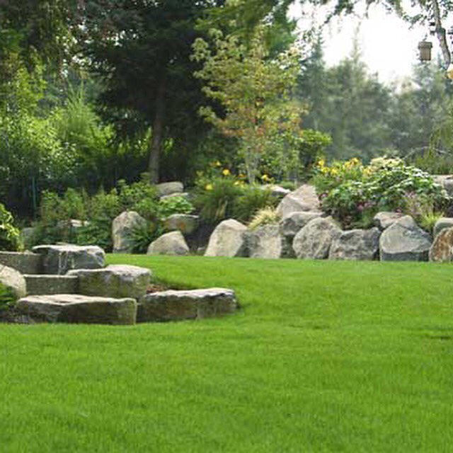 Cosio_Landscape's tweet image. 