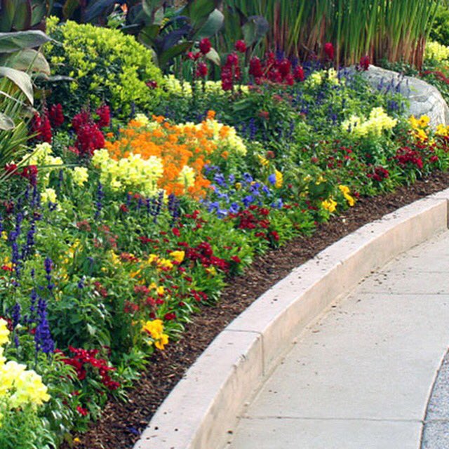 Cosio_Landscape's tweet image. 