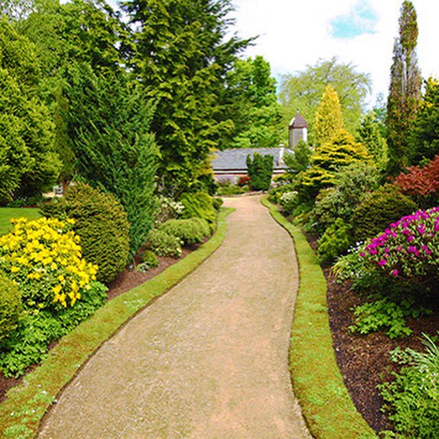 Cosio_Landscape's tweet image. 