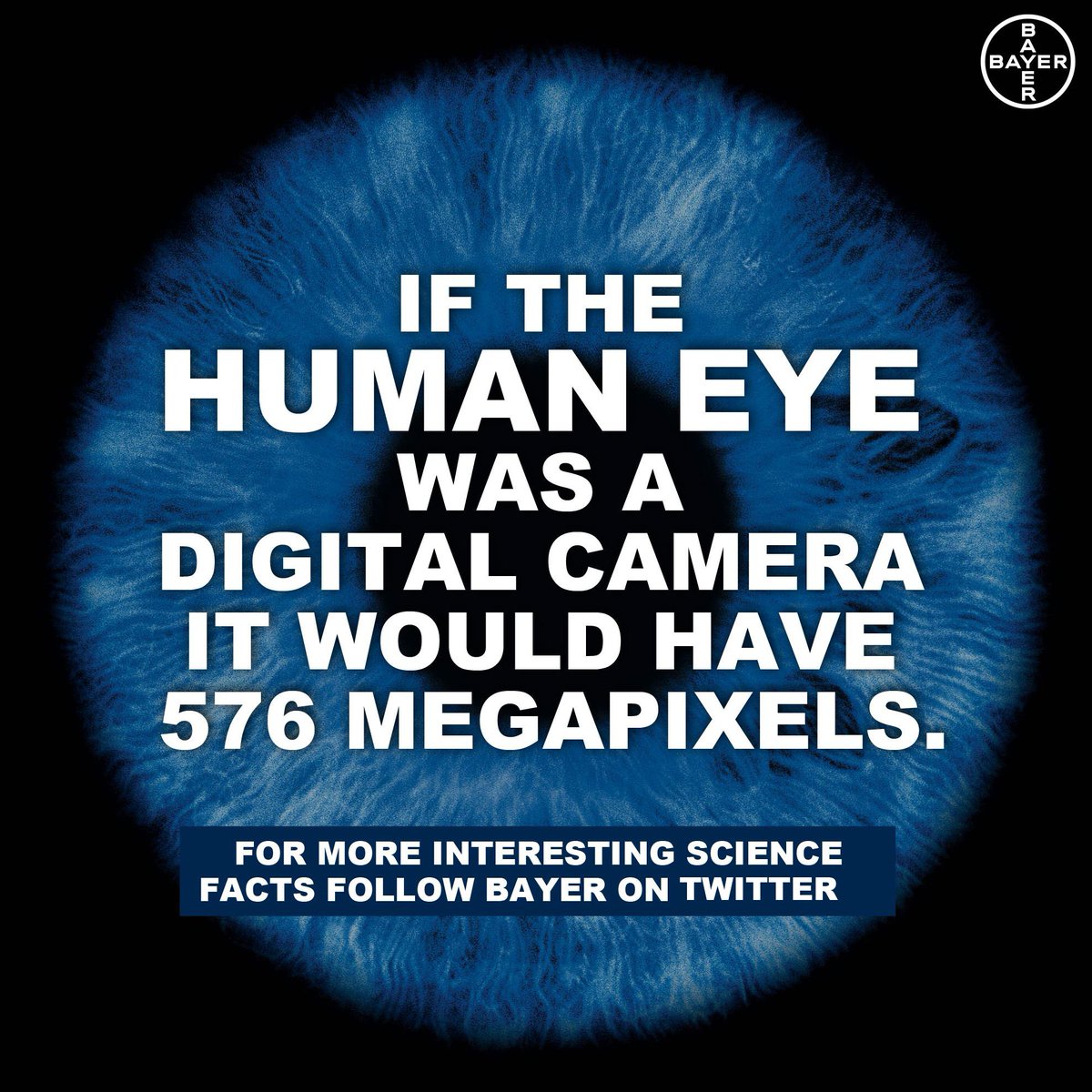 Bayer AG tweet media