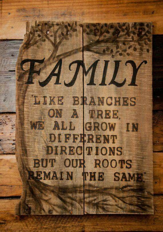 Blip_Home's tweet photo. FAMILY: LIKE BRANCHES ON A TREE, WE ALL GROW IN DIFFERENT DIRECTIONS BUT OUR ROOTS REMAIN THE SAME.... https://t.co/nI5c17Fe2O