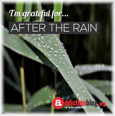 Today, I'm grateful for the fresh air coming after the spring rain... What are you grateful for?