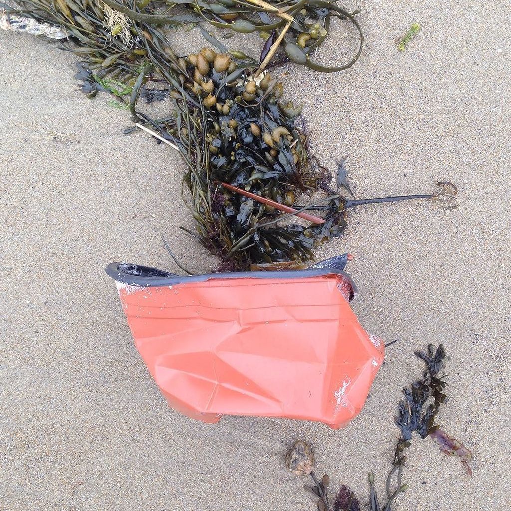 catchbynina's tweet photo. #gardening #plasticpot #marinedebris #oceandebris #beach #ocean #plasticpollution #trashybeach #saveourshores #save… https://t.co/VJ4LV6TYef