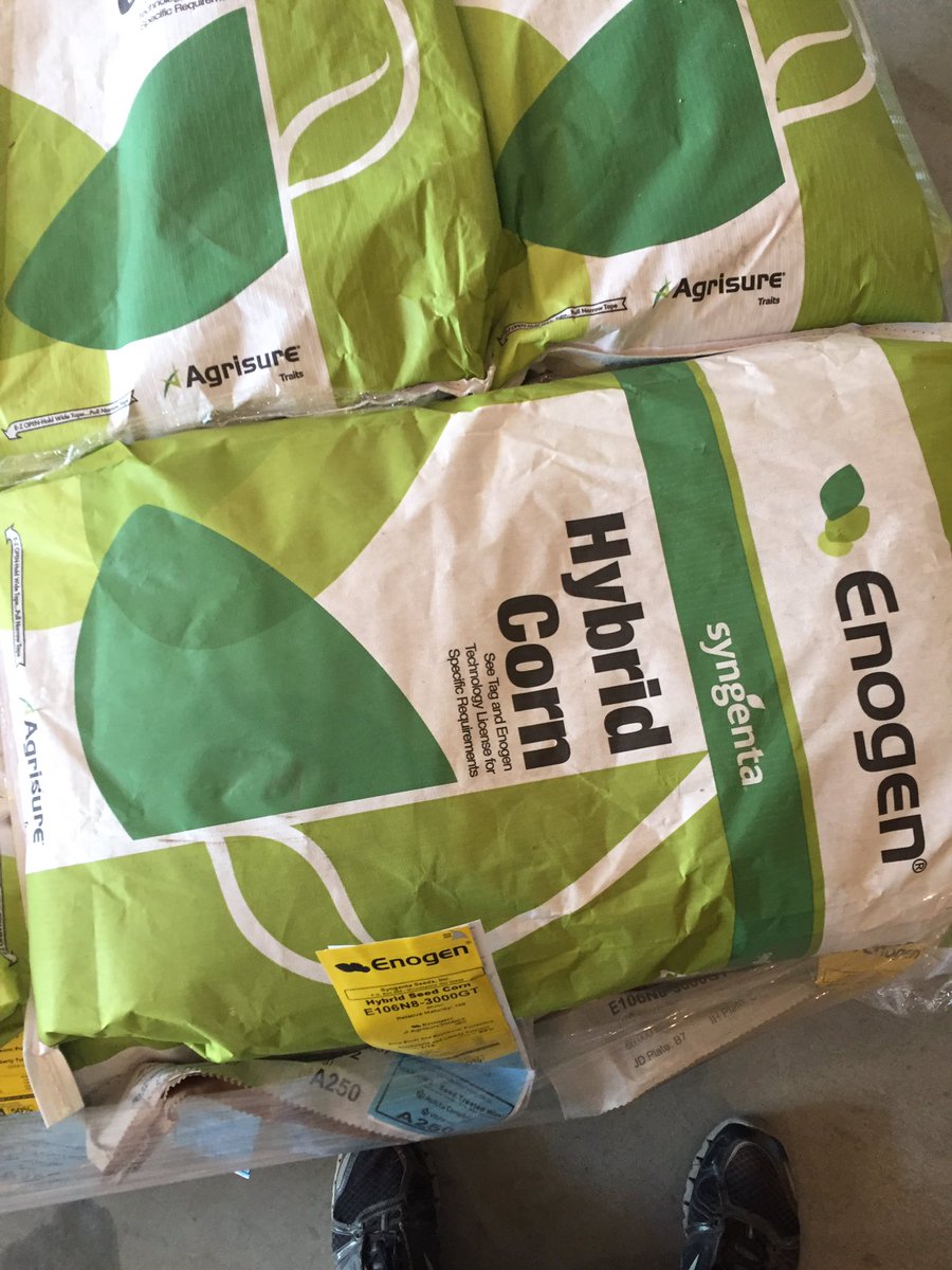 jfreidel's tweet image. @SyngentaUS we are trying 24 bags of #enogen this year. Fuel for America. #ethonal #sdcorn #plant16