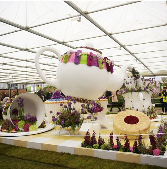 Absolutely love this time of year - the Chelsea Flower Show is back! ow.ly/4npbBz