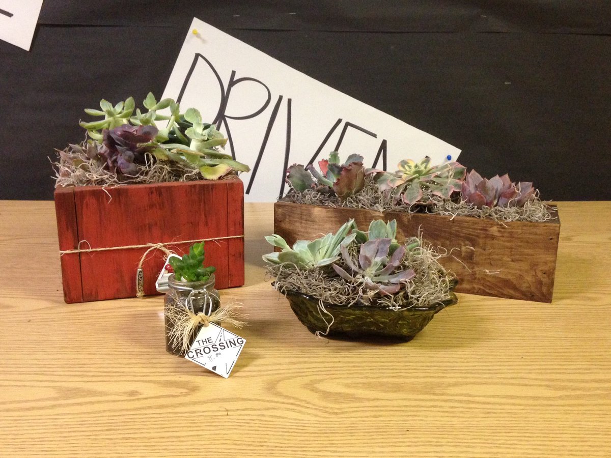 KokomoCrossing's tweet photo. Do you prefer succulents? We have a variety of succulents available!  Come see us at @finbuilders tomorrow 9-4! https://t.co/AYfXuGOrGi
