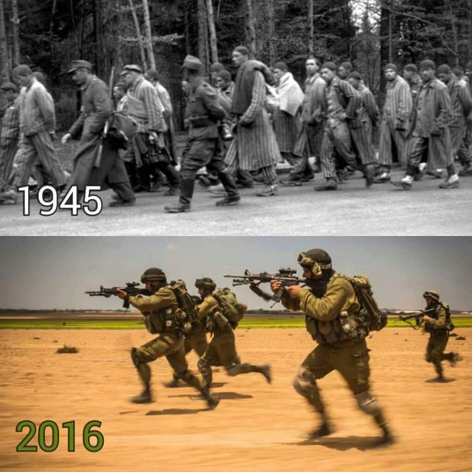 LittleButterfly tweet media