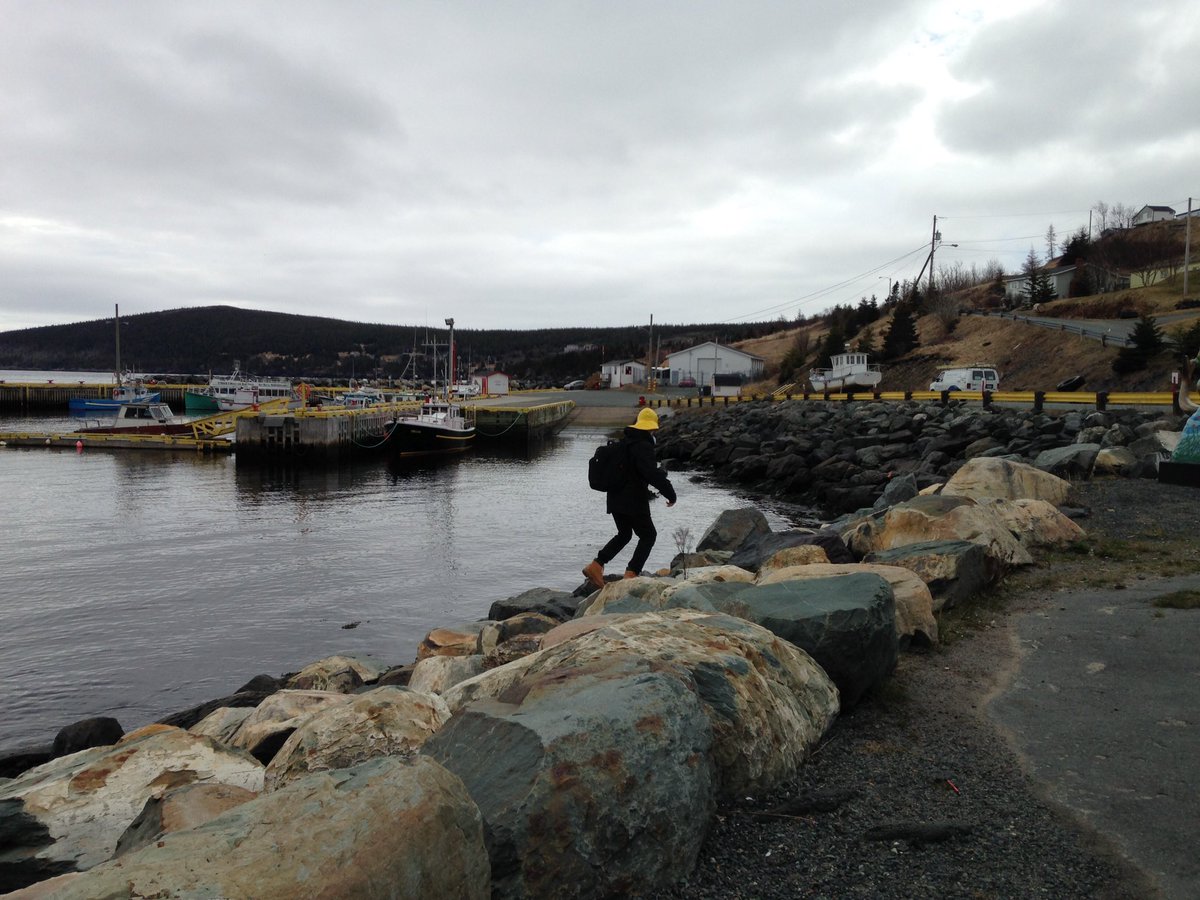 yorknfld's tweet photo. Ready to see the whales.  Whale spottings in #baybulls @obrienstours https://t.co/0Yje3FBGB1