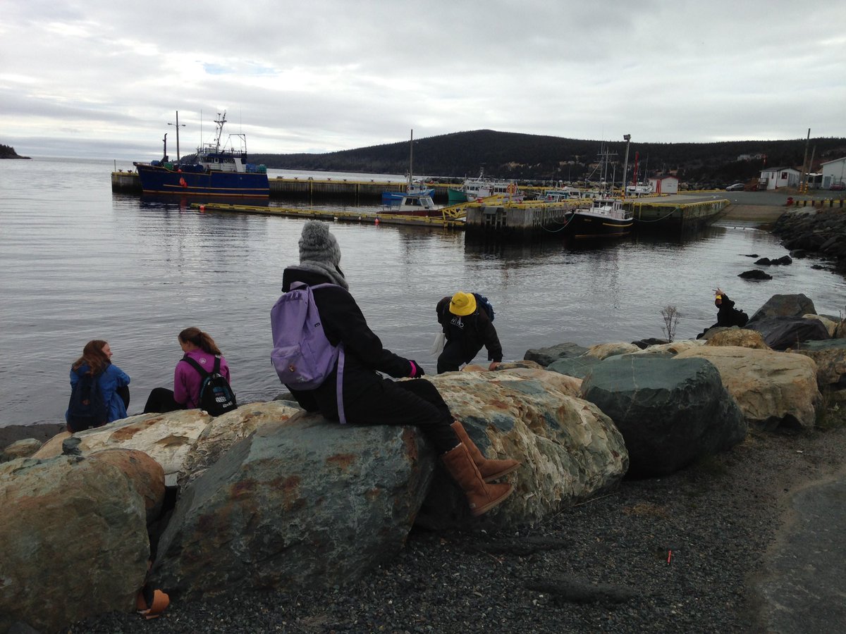 yorknfld's tweet photo. Ready to see the whales.  Whale spottings in #baybulls @obrienstours https://t.co/0Yje3FBGB1