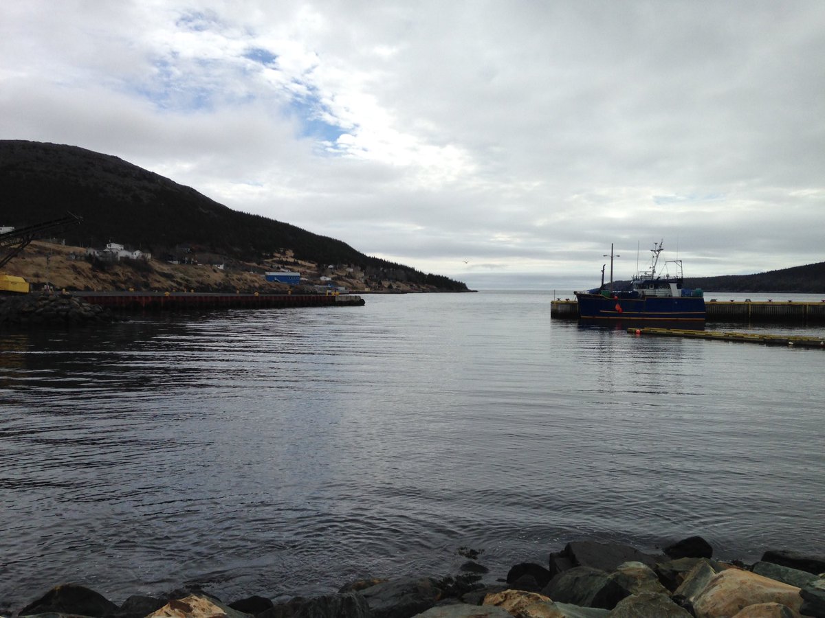 yorknfld's tweet photo. Ready to see the whales.  Whale spottings in #baybulls @obrienstours https://t.co/0Yje3FBGB1