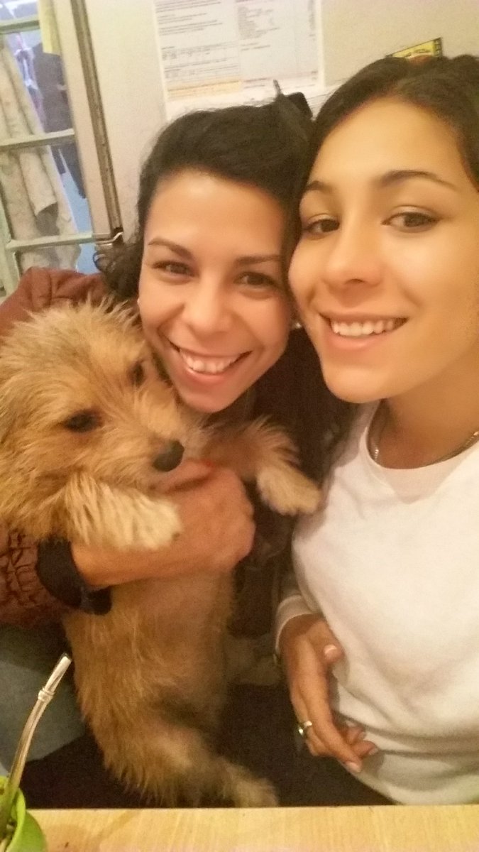 BrendaBeella's tweet photo. #Laminimini #laperritamaslinda https://t.co/4RFu0h9G8Z