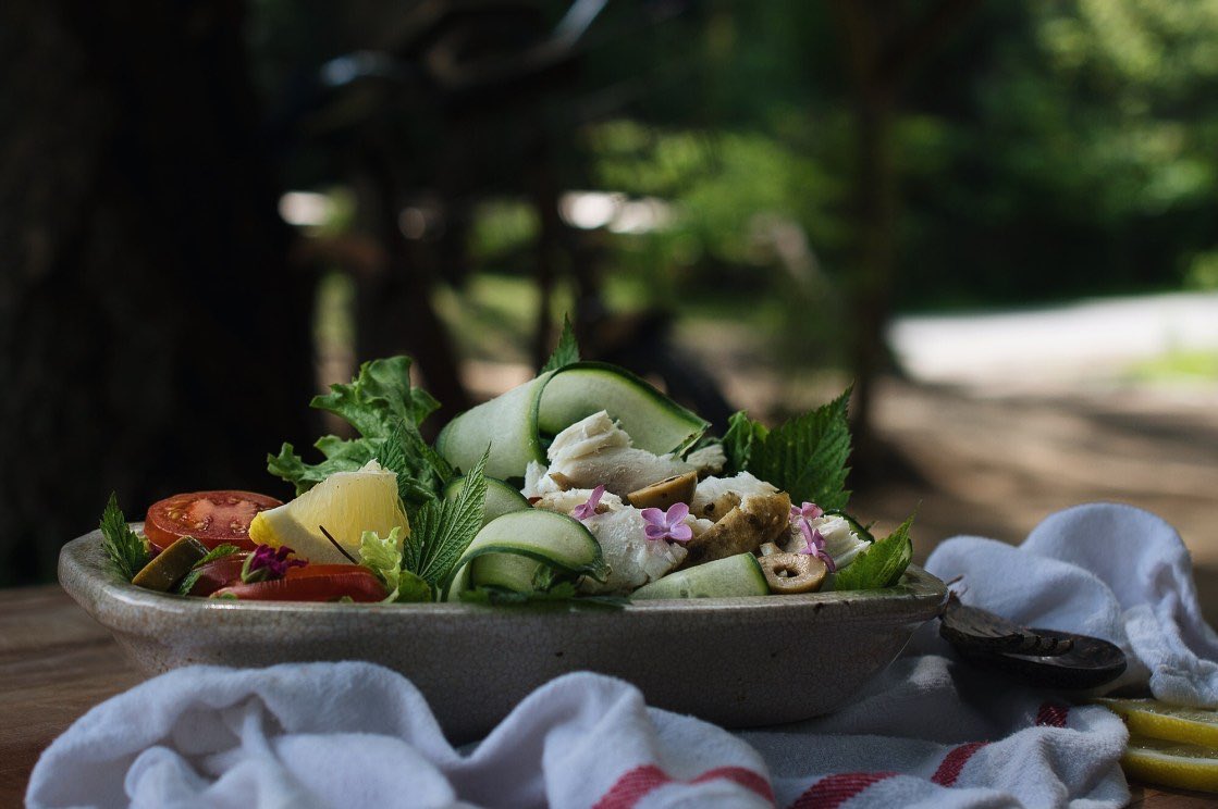 FoodGays's tweet photo. New Recipe: Steamed Halibut Salad with Honey Mustard Vinaigrette https://t.co/0UNGUHOhrW https://t.co/cPRPsEZdpo