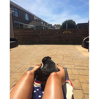 Joy_PhotoCam's tweet photo. Sunshineeeee ๐๐๐ถ #pugbathing #summer #pug #doggy https://t.co/JSCcyRS9wK https://t.co/34f6yq5Ta8