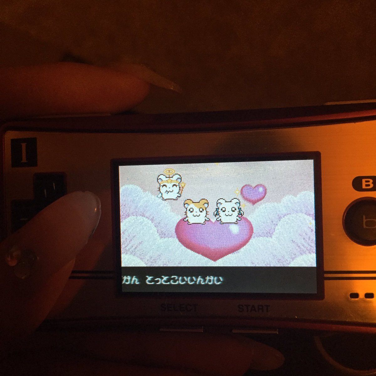 とっとこハム太郎3