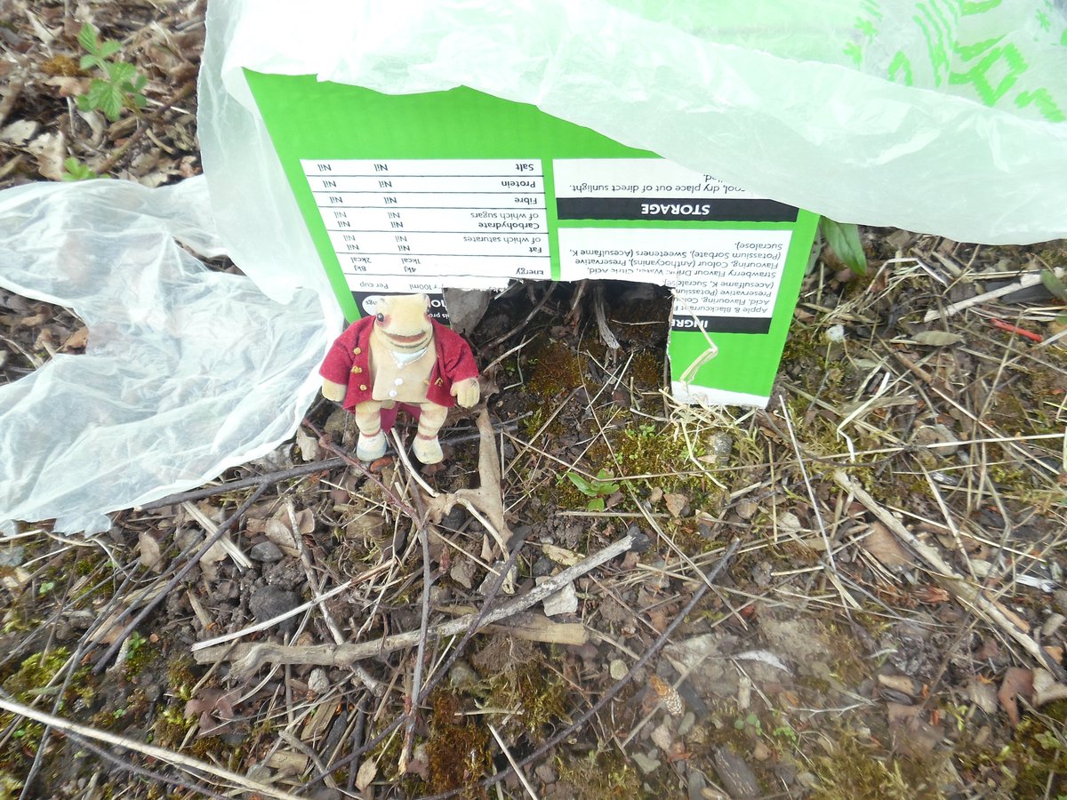 It's #hedgehogweek and we have checked of how hedgehog friendly #GrangeForestSchool is and built hedgehog houses!