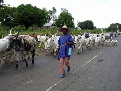 FamousMixtape's tweet photo. 7 killed after suspected Herdsmen attack community in Zamfara https://t.co/kAY7OPKyQq https://t.co/HIHWjnT3D7