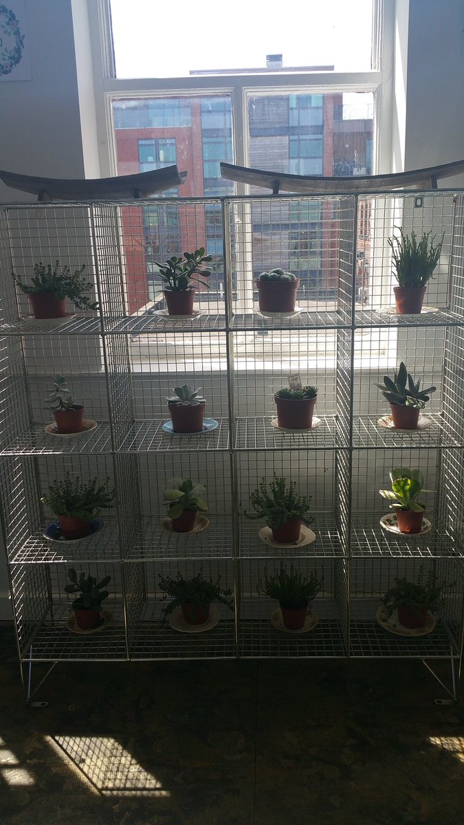 Vibe_Quarterly's tweet image. @_lightspace what a great space to work in #Sheffield