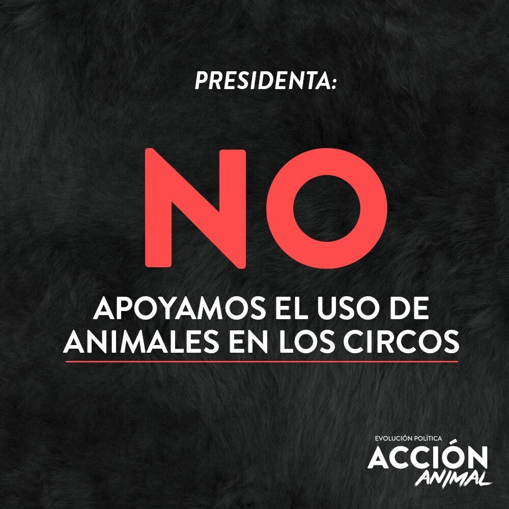 patagonpau's tweet photo. https://t.co/Cxl2ycCJys