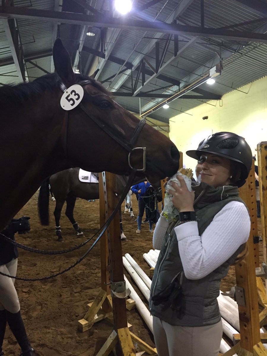 VTET_Hunter's tweet photo. @SUBWAY our horse Del Fino is enjoying a veggie sandwich at #IHSANationals https://t.co/t2wcD8NVeP
