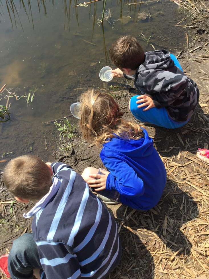 BVMesser1's tweet photo. Students visited our Birchview nature center today to learn about pond life. https://t.co/UEuWMswe6Q