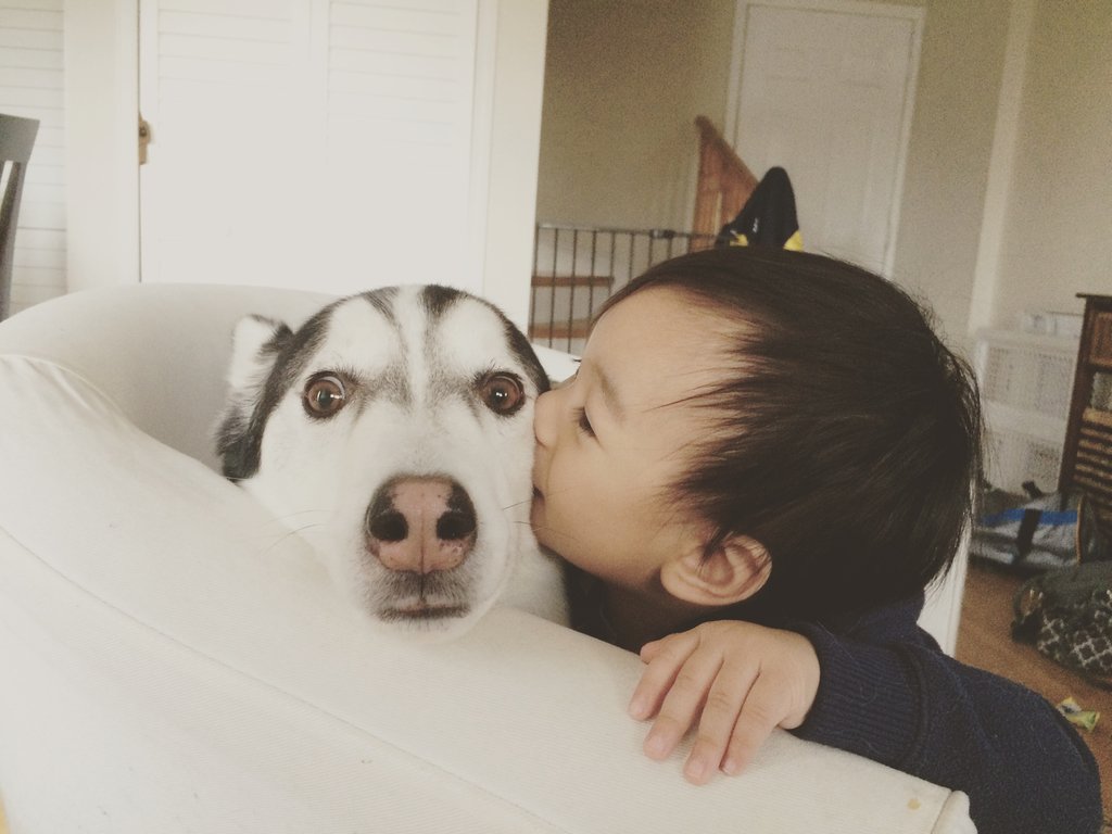 cute_dog_zone's tweet photo. What is this tiny little human doing? https://t.co/UFJQWGwNp7