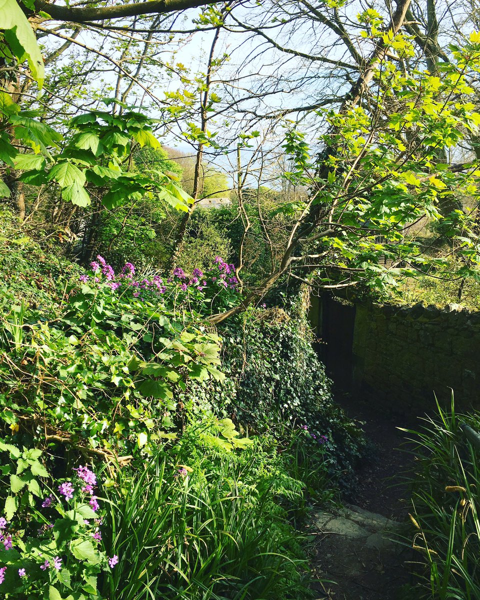 rebeccajoPT's tweet photo. Another adventure in the sunshine exploring the #coast πππ #cardio #cardiowithaview #countryside #sunny #views https://t.co/rxfuIr2ull