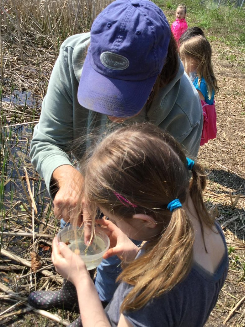 BVMesser1's tweet photo. Our naturalist Ms. Callaghan sparked students' curiosity about the creatures that live in around our pond! https://t.co/rOX9BEiEi6