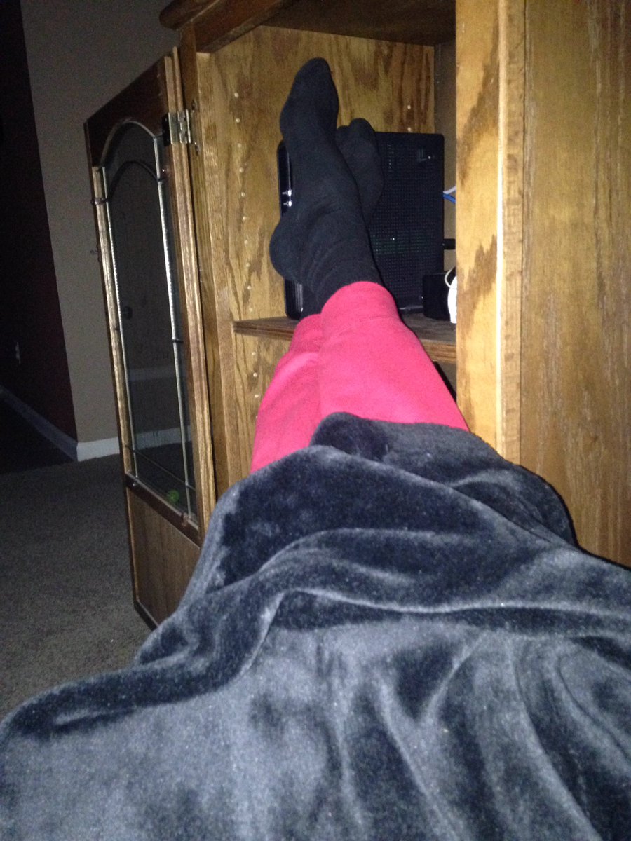 Topsie Cow tweet media