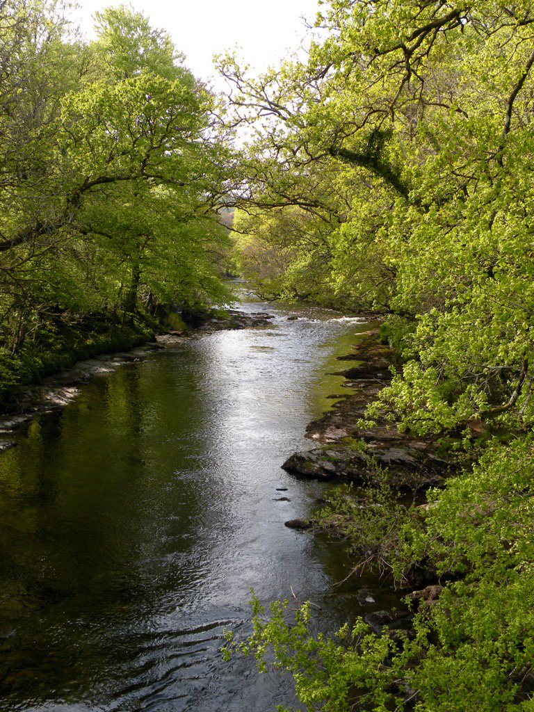florestaqueen's tweet image. #Devons rivers..Tranquility &amp;amp; beauty to enrich the soul...take note developers who want to destroy #photography