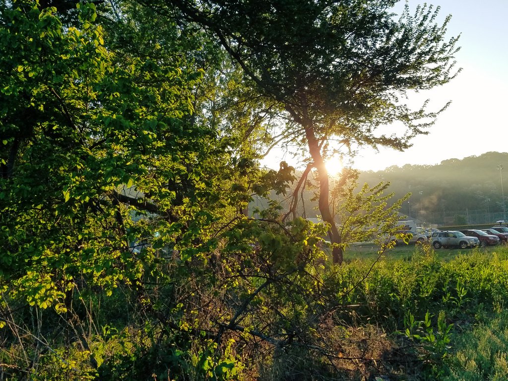 TiffanyAlvord's tweet photo. as the sun broke thru the trees, i felt the warmth upon my skin; like the world around me, decided to breathe me in https://t.co/8vGOyxhVlv