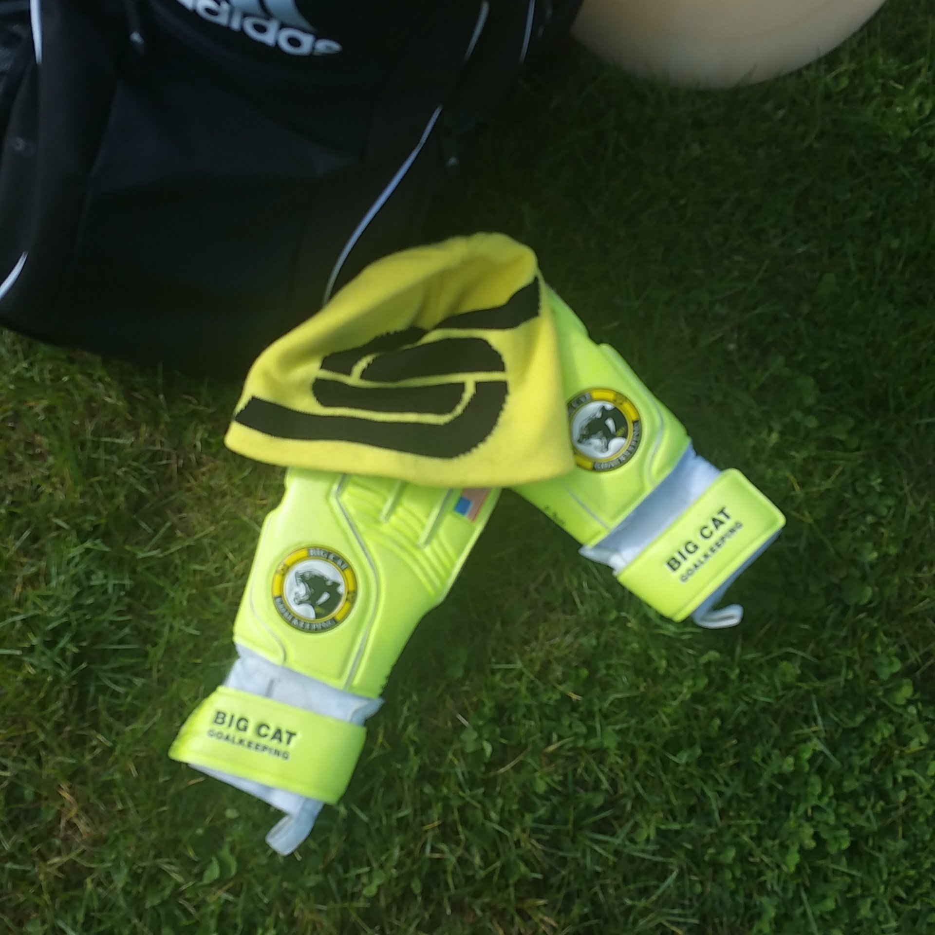 Big cat cheap goalkeeper gloves