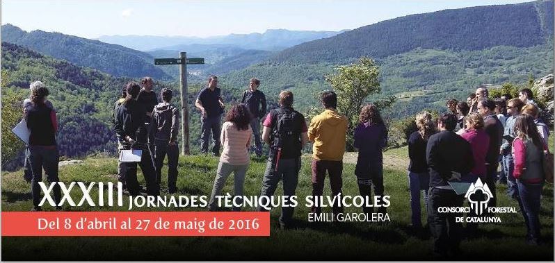 Grup_Boix's tweet photo. I demà, la 5a. Jornada Tècnica Silvícola #EmiliGarolera #JTS2016 #ORGEST —Amb el @cpforestal i el @CREAF_ecologia https://t.co/FqkCOGmZMy