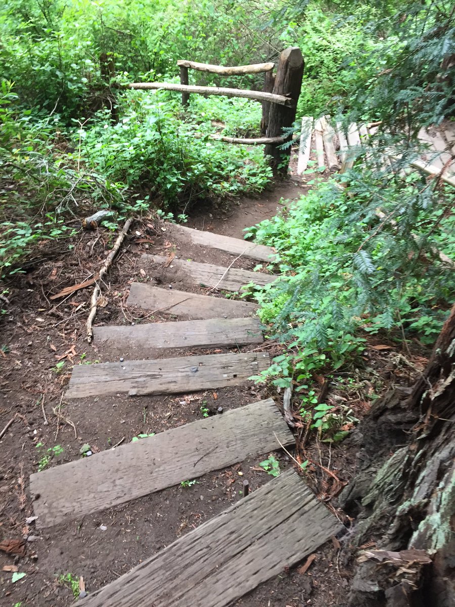 TiMEoFPoSTiNG's tweet photo. 2 follow: 12 o'my favorite #woods-pix
From #WoodsWalks this week, &
#Wcoast #flora🌺
<#WritingRetreat<3>>>>#redwoods> https://t.co/kjJbgfYfEO